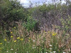 2018-06-16-Vierzon (91)